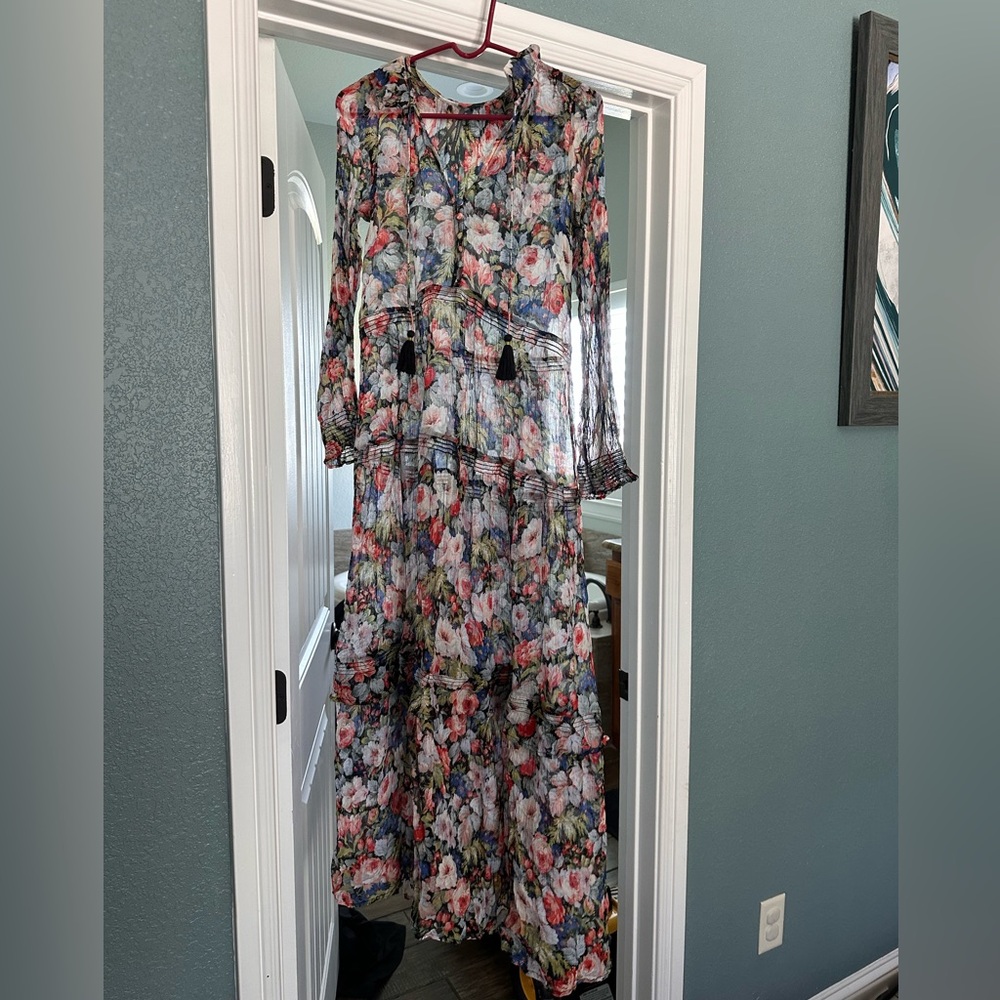 Anthropologie Sheer Floral Maxi Dress - Pink and Green